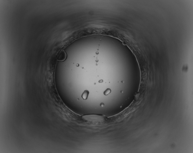 X0000101971109200807181058