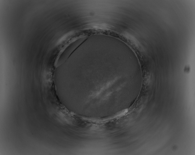 X0000101971110200807181058