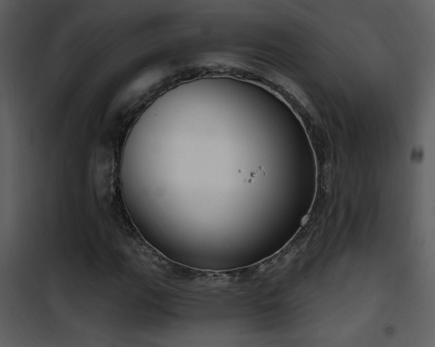 X0000101971111200807181058