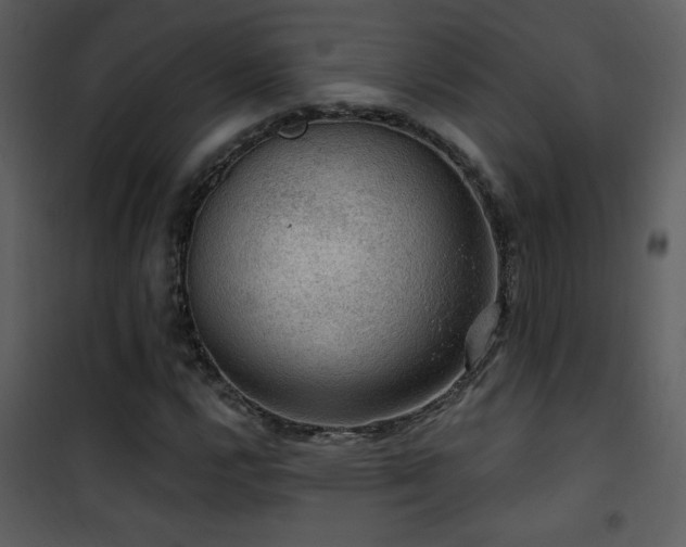 X0000101971112200807181058