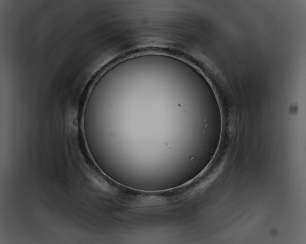 X0000101971113200807181058