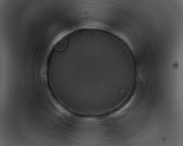 X0000101971114200807181058