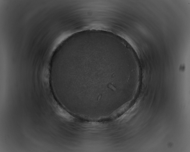 X0000101971115200807181058