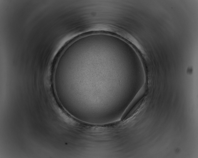 X0000101971116200807181058