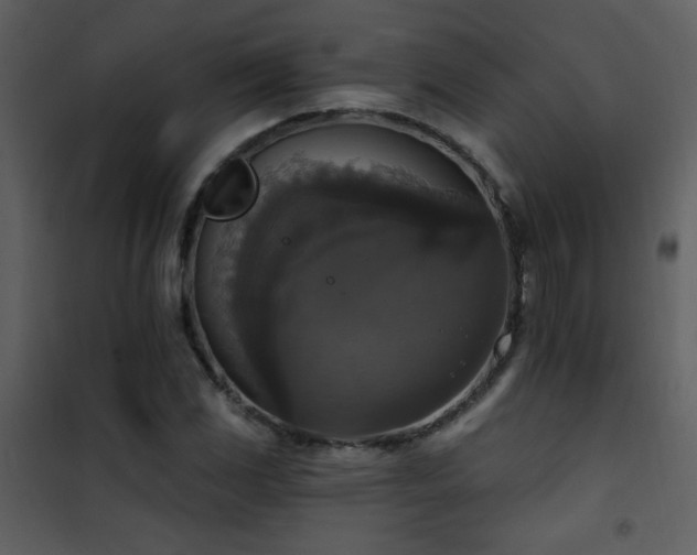 X0000101971117200807181058