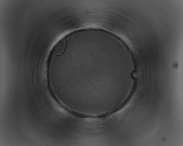 X0000101971118200807181058