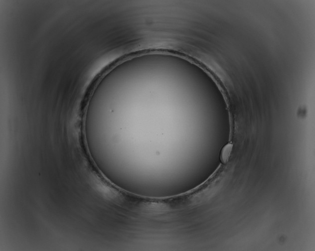 X0000101971119200807181058