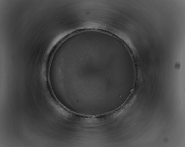 X0000101971120200807181058
