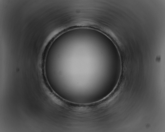 X0000101971122200807181058