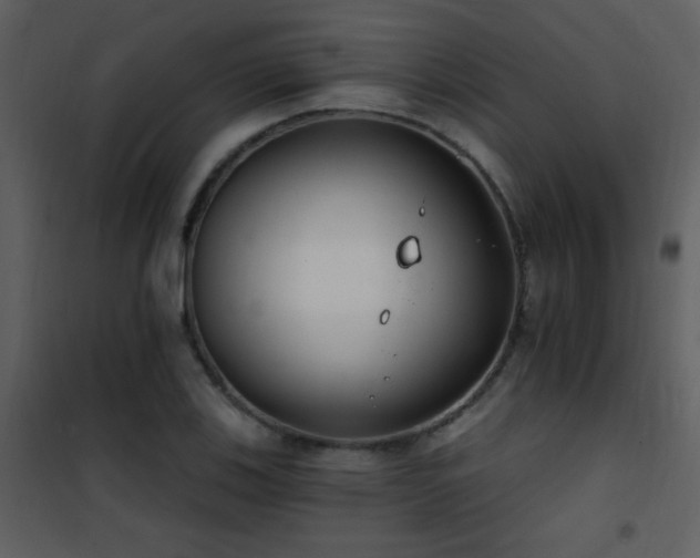 X0000101971123200807181058