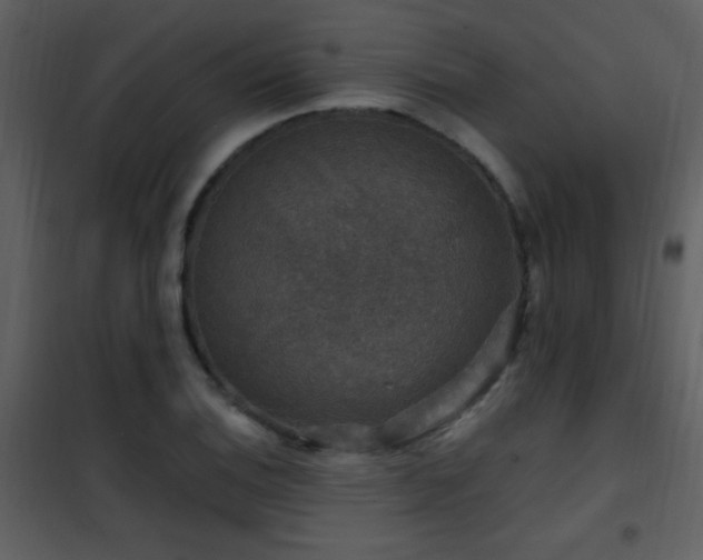 X0000101971124200807181058