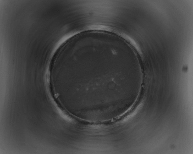 X0000101971125200807181058