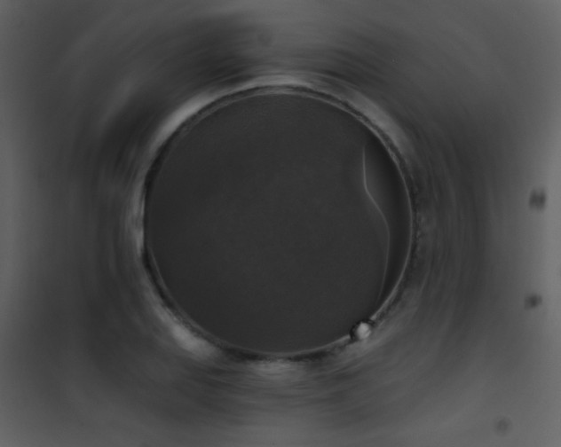 X0000101971127200807181058