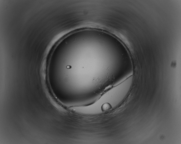 X0000101971128200807181058