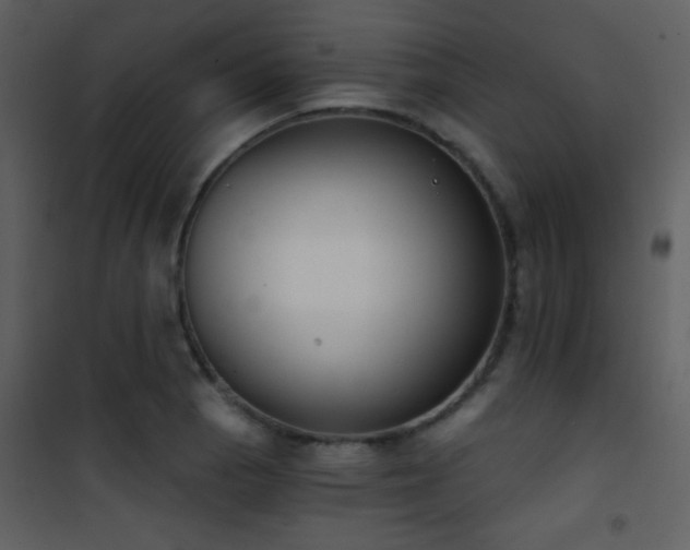 X0000101971129200807181058