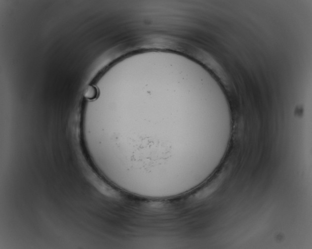 X0000101971130200807181058