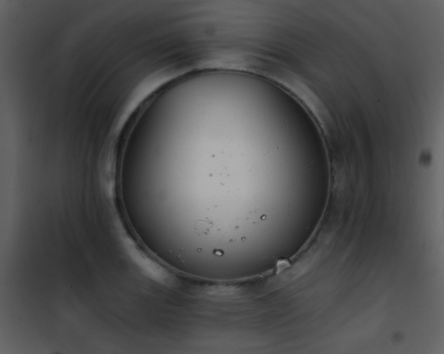 X0000101971131200807181058