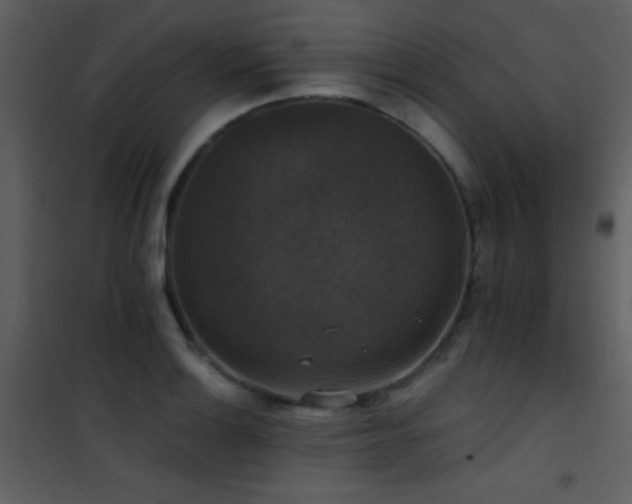 X0000101971132200807181058