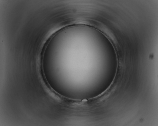 X0000101971133200807181058