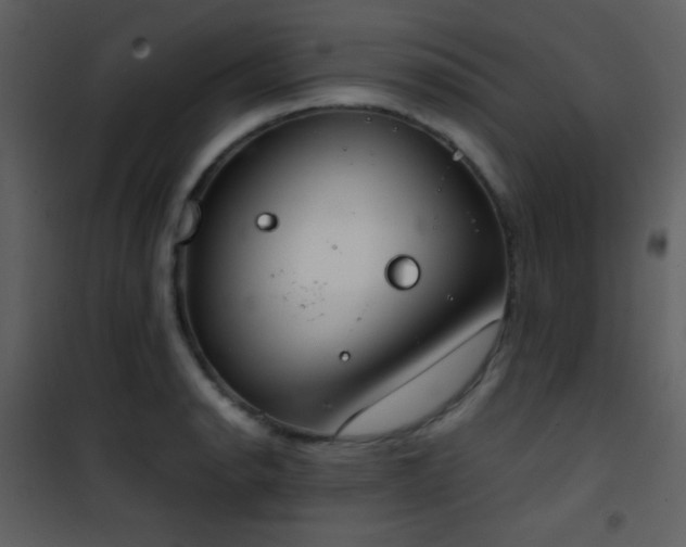 X0000101971134200807181058