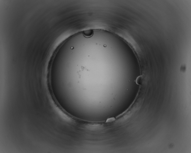 X0000101971135200807181058