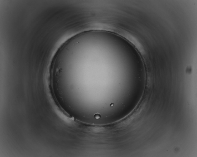 X0000101971136200807181058