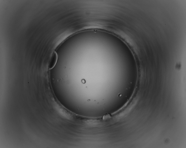X0000101971137200807181058