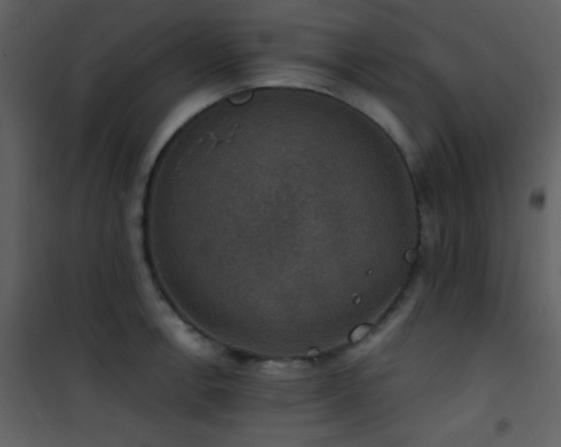 X0000101971138200807181058