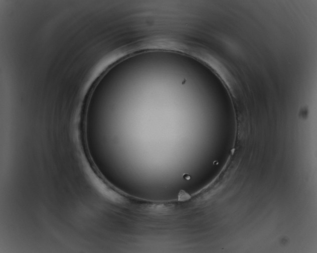 X0000101971139200807181058