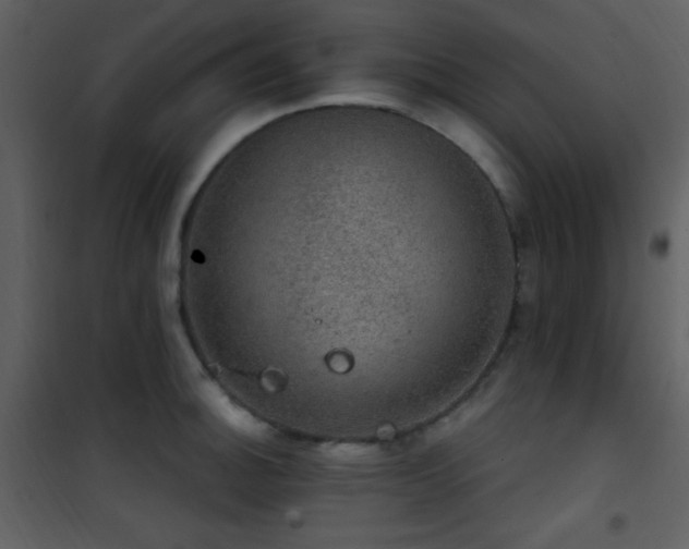 X0000101971140200807181058