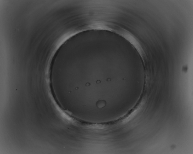 X0000101971141200807181058
