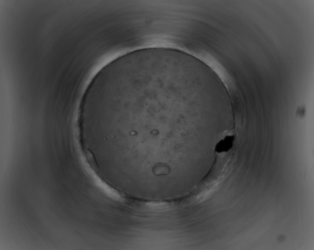 X0000101971142200807181058