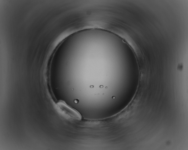 X0000101971143200807181058
