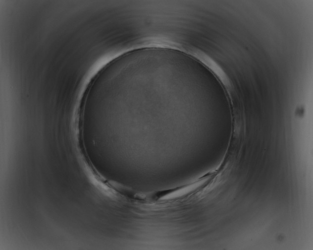 X0000101971144200807181058