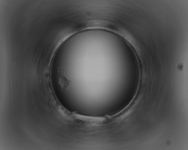 X0000101971145200807181058