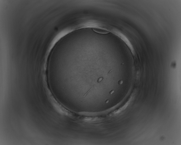 X0000101971146200807181058