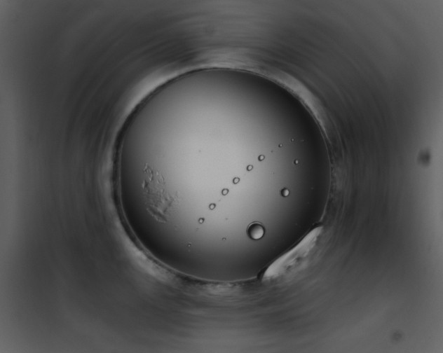 X0000101971147200807181058