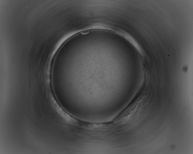 X0000101971148200807181058