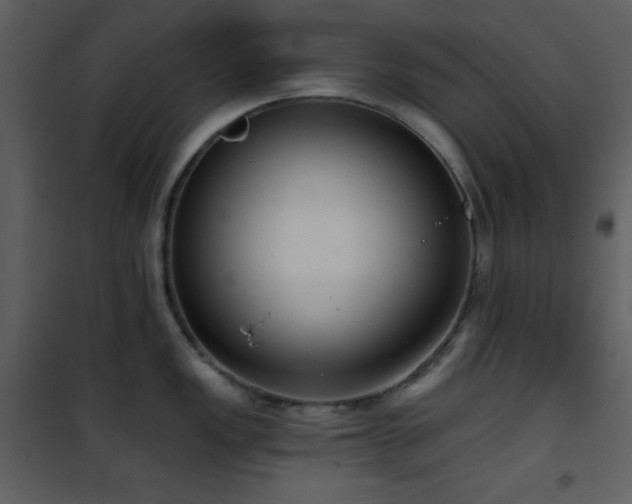 X0000101971149200807181058
