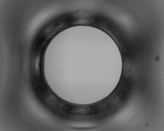 X0000101971150200807181058