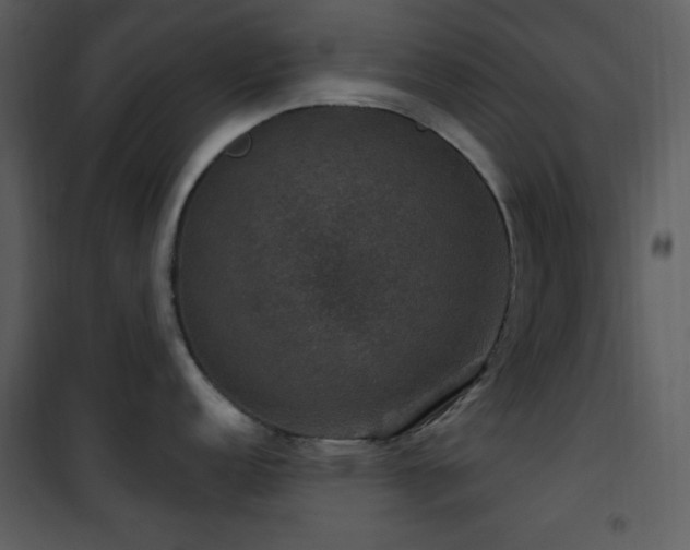 X0000101971152200807181058