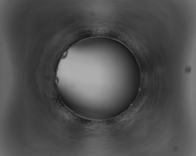 X0000101971153200807181058