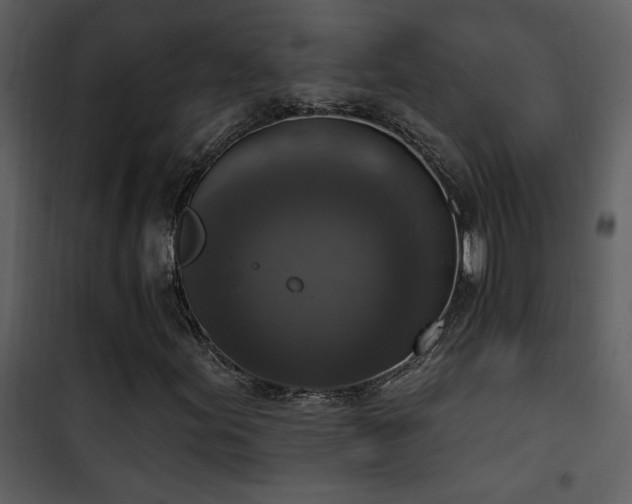 X0000101971155200807181058