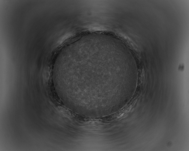 X0000101971157200807181058