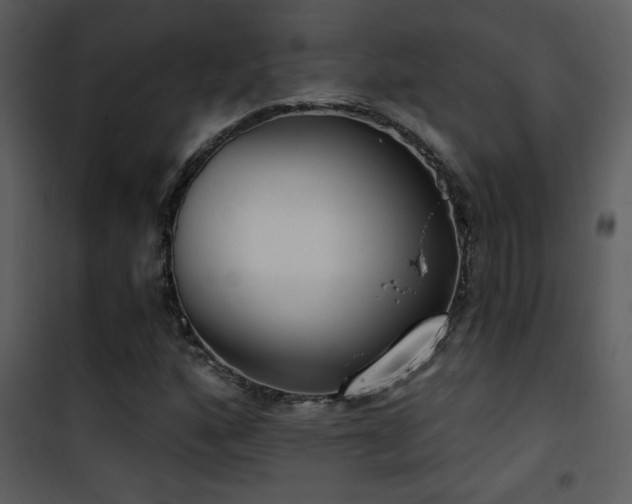 X0000101971160200807181057