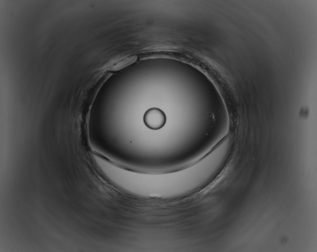 X0000101971161200807181057