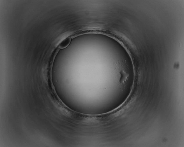 X0000101971162200807181057