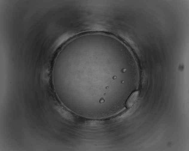 X0000101971163200807181057