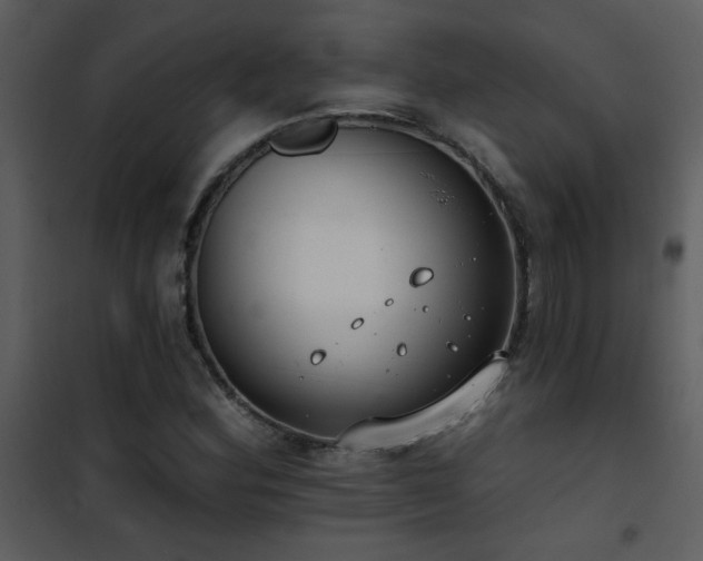 X0000101971164200807181057