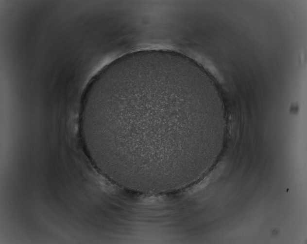 X0000101971165200807181057